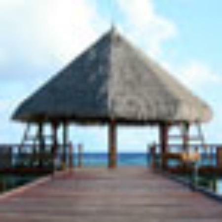 Mee Noodle Shop and Grill